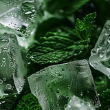 Spearmint