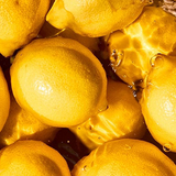 Yuzu Citrus